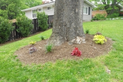 panoramic-yard-and-fenceline