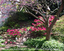 BSOM-April-2012-03.jpg