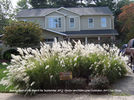 Filename=BeautySpotSeptember12-1R~0.jpg
Filesize=306KiB
Dimensions=720x535
Date added=Dec 24, 2013 BeautySpotSeptember12-1R~0.jpg
