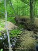 Filename=Commons-Crrek-2R.jpg
Filesize=274KiB
Dimensions=555x740
Date added=Sep 07, 2014 Commons-Crrek-2R.jpg