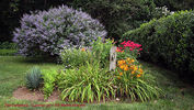 Filename=Commons76B.jpg
Filesize=307KiB
Dimensions=1000x564
Date added=Oct 03, 2011 Commons76B.jpg