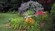 Filename=Commons77B.jpg
Filesize=265KiB
Dimensions=1000x564
Date added=Oct 03, 2011 Commons77B.jpg
