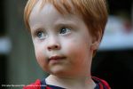 Filename=IMG_0076-RRt.jpg
Filesize=339KiB
Dimensions=1200x800
Date added=Sep 11, 2016 IMG_0076-RRt.jpg