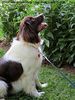 Filename=IMG_0143-RRt.jpg
Filesize=233KiB
Dimensions=555x740
Date added=Jun 26, 2014 IMG_0143-RRt.jpg