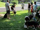 Filename=IMG_0144-RRt.jpg
Filesize=252KiB
Dimensions=740x555
Date added=Jun 26, 2014 IMG_0144-RRt.jpg