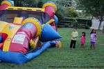 IMG_0210-RRt~0.jpg