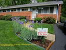 Filename=IMG_0464-RRt.jpg
Filesize=665KiB
Dimensions=1200x900
Date added=May 07, 2016 IMG_0464-RRt.jpg