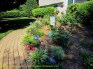 IMG_0910-RRt~0.jpg