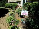 Filename=IMG_0913-RRt.jpg
Filesize=697KiB
Dimensions=1200x900
Date added=Aug 01, 2017 IMG_0913-RRt.jpg