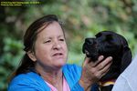 Filename=IMG_3804-RRt.jpg
Filesize=365KiB
Dimensions=1200x800
Date added=Oct 20, 2015 IMG_3804-RRt.jpg