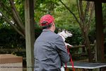 Filename=IMG_3859-RRt.jpg
Filesize=325KiB
Dimensions=1200x800
Date added=Oct 20, 2015 IMG_3859-RRt.jpg