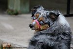 Filename=IMG_3942-RRt.jpg
Filesize=403KiB
Dimensions=1200x800
Date added=Oct 20, 2015 IMG_3942-RRt.jpg