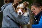 Filename=IMG_3950-RRt.jpg
Filesize=420KiB
Dimensions=1200x800
Date added=Oct 20, 2015 IMG_3950-RRt.jpg