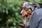 Filename=IMG_3997-RRt.jpg
Filesize=408KiB
Dimensions=1200x800
Date added=Oct 20, 2015 IMG_3997-RRt.jpg