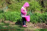 Filename=IMG_4011-Rt.jpg
Filesize=420KiB
Dimensions=1000x666
Date added=Apr 02, 2016 IMG_4011-Rt.jpg