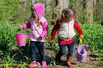 Filename=IMG_4037-Rt.jpg
Filesize=404KiB
Dimensions=1000x666
Date added=Apr 02, 2016 IMG_4037-Rt.jpg