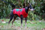 Filename=IMG_4048-RRt.jpg
Filesize=470KiB
Dimensions=1200x800
Date added=Oct 20, 2015 IMG_4048-RRt.jpg