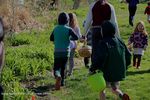 Filename=IMG_4092-Rt.jpg
Filesize=343KiB
Dimensions=1000x666
Date added=Apr 02, 2016 IMG_4092-Rt.jpg