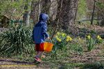 Filename=IMG_4157-Rt.jpg
Filesize=498KiB
Dimensions=1000x666
Date added=Apr 02, 2016 IMG_4157-Rt.jpg