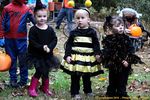 Filename=IMG_5242-RRt.jpg
Filesize=362KiB
Dimensions=1000x666
Date added=Nov 11, 2015 IMG_5242-RRt.jpg