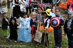 Filename=IMG_5251-RRt.jpg
Filesize=367KiB
Dimensions=1000x666
Date added=Nov 11, 2015 IMG_5251-RRt.jpg