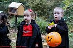 Filename=IMG_5274-RRt.jpg
Filesize=290KiB
Dimensions=1000x666
Date added=Nov 11, 2015 IMG_5274-RRt.jpg