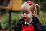 Filename=IMG_5278-RRt.jpg
Filesize=254KiB
Dimensions=1000x666
Date added=Nov 11, 2015 IMG_5278-RRt.jpg