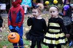 Filename=IMG_5280-RRt.jpg
Filesize=305KiB
Dimensions=1000x666
Date added=Nov 11, 2015 IMG_5280-RRt.jpg