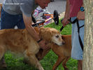 Filename=IMG_6600-R.jpg
Filesize=117KiB
Dimensions=720x540
Date added=Jun 22, 2011 IMG_6600-R.jpg