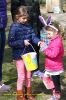 IMG_9709t.jpg