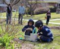 Filename=IMG_9733t.jpg
Filesize=358KiB
Dimensions=931x763
Date added=Apr 25, 2018 IMG_9733t.jpg