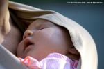 Filename=IMG_9751-RRt.jpg
Filesize=250KiB
Dimensions=1200x800
Date added=Sep 11, 2016 IMG_9751-RRt.jpg
