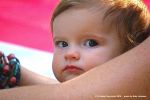 Filename=IMG_9897-RRt.jpg
Filesize=426KiB
Dimensions=1200x800
Date added=Sep 12, 2016 IMG_9897-RRt.jpg