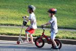 Filename=IMG_9902-RRt.jpg
Filesize=462KiB
Dimensions=1200x800
Date added=Sep 12, 2016 IMG_9902-RRt.jpg