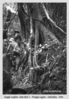 Filename=Jungle warfare 0022-rtd-Nm-rszd.jpg
Filesize=116KiB
Dimensions=488x700
Date added=Jan 01, 2012 Jungle warfare 0022-rtd-Nm-rszd.jpg
