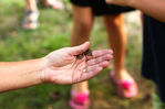 Filename=LBD9-R.jpg
Filesize=70KiB
Dimensions=640x427
Date added=Sep 22, 2013 LBD9-R.jpg