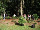 Filename=Planting 211-R=dft-c.jpg
Filesize=135KiB
Dimensions=600x450
Date added=Nov 06, 2005 Planting 211-R=dft-c.jpg