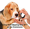 dog-clipping-R.jpg