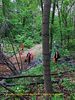 Filename=image10-RRt.jpg
Filesize=622KiB
Dimensions=750x1000
Date added=May 08, 2016 image10-RRt.jpg